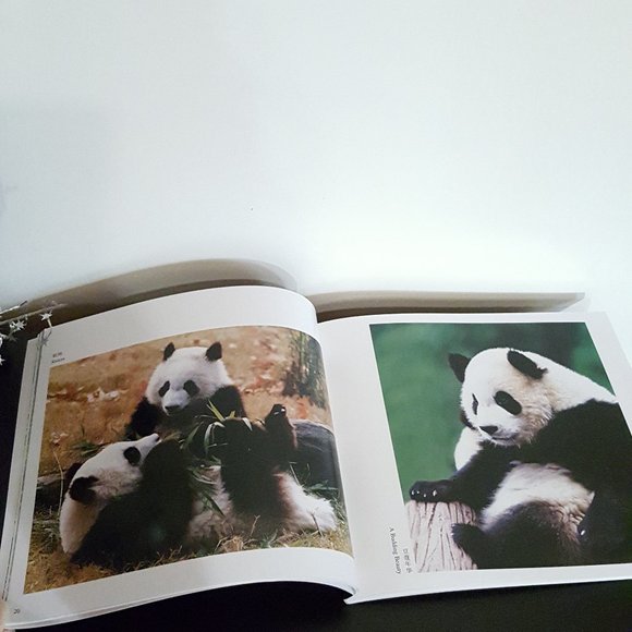 PANDA Fan Theme 2 Item Bundle Notebook Photography - Picture 11 of 16
